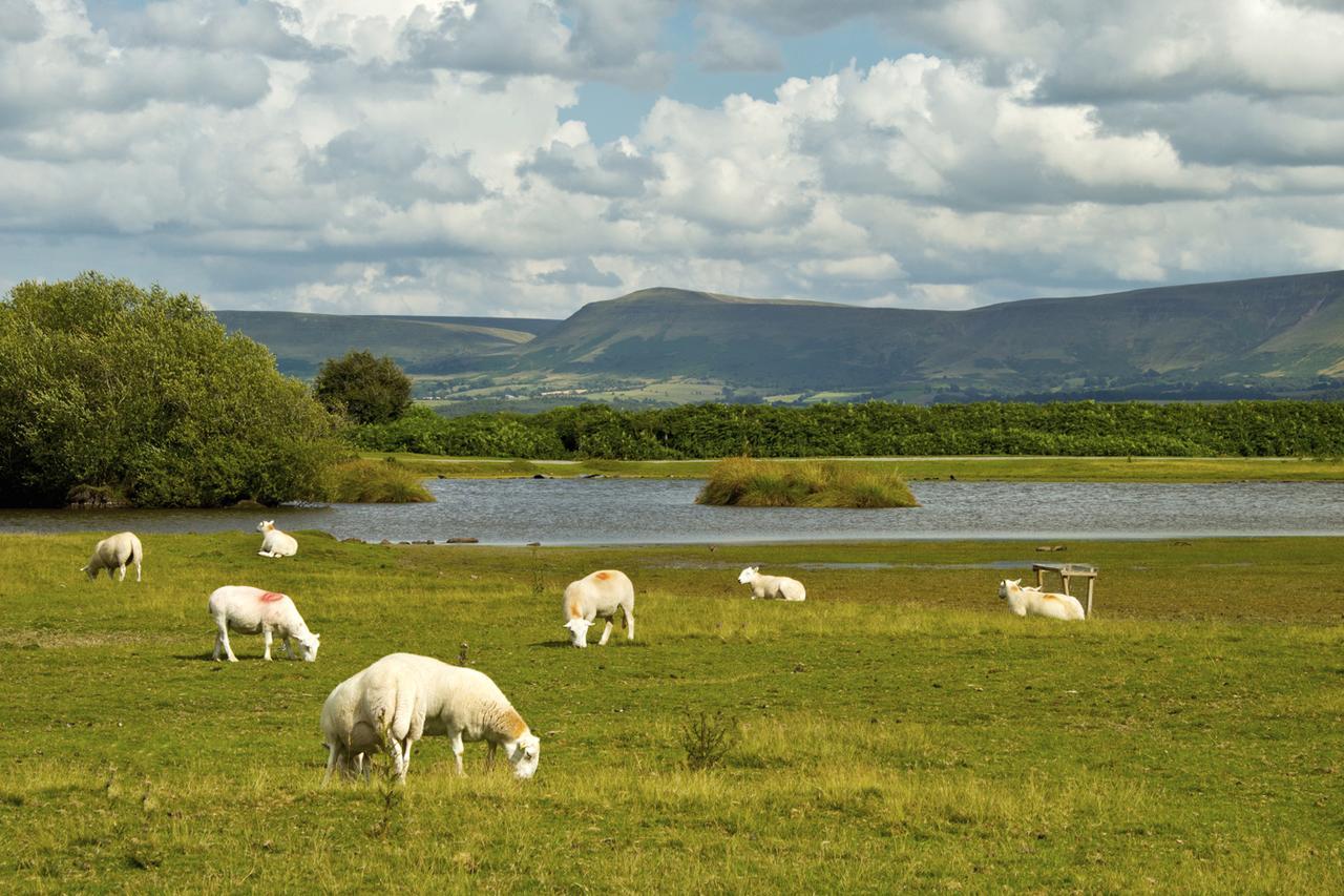 Brynderwen Bed and Breakfast Llangorse Buitenkant foto